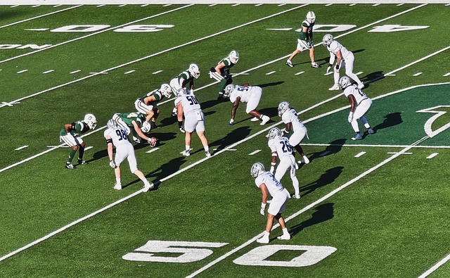 却缺少能够 却缺少能够