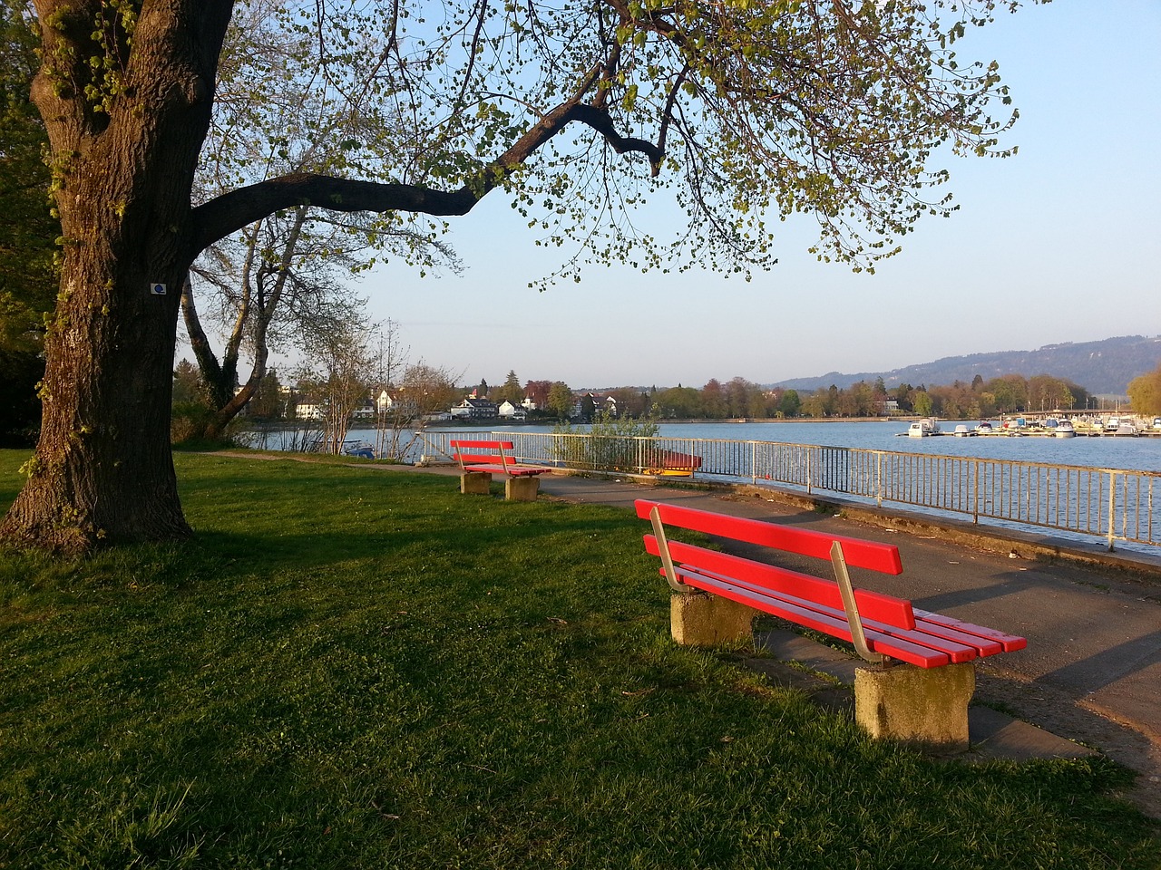 其中包括前 其中包括前