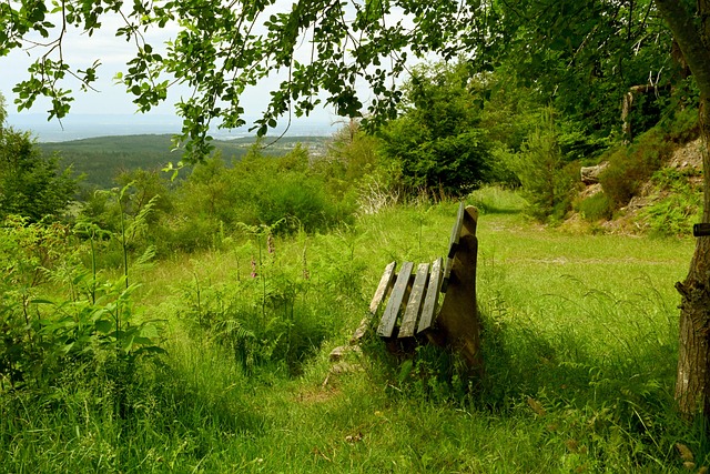 术上的反思 术上的反思
