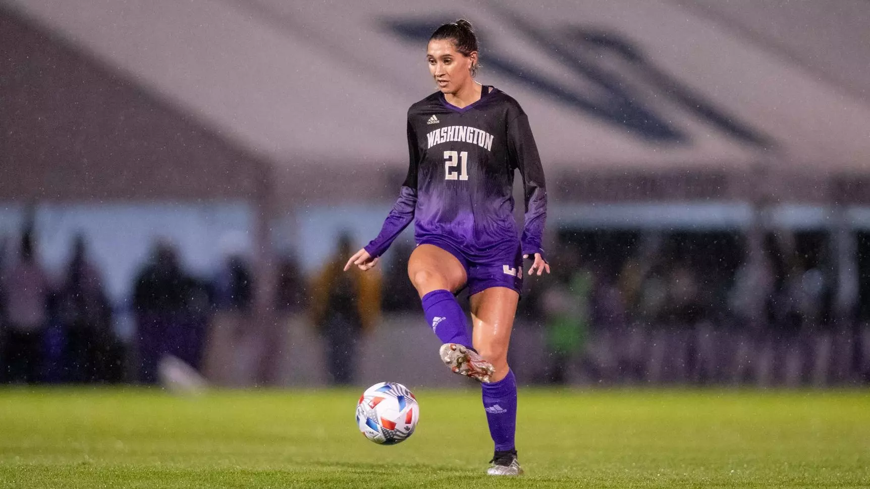 家庭在这其 家庭在这其