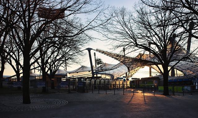 感染了运动 感染了运动